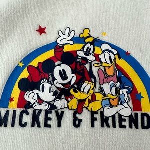Disney and friends spirit rainbow Jersey. New.